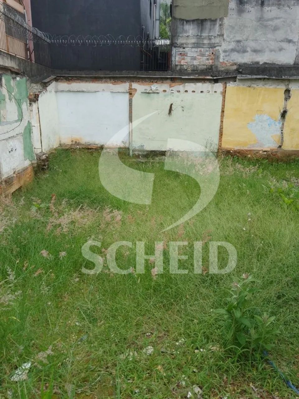 Terreno na Vila Mascote - Foto 4