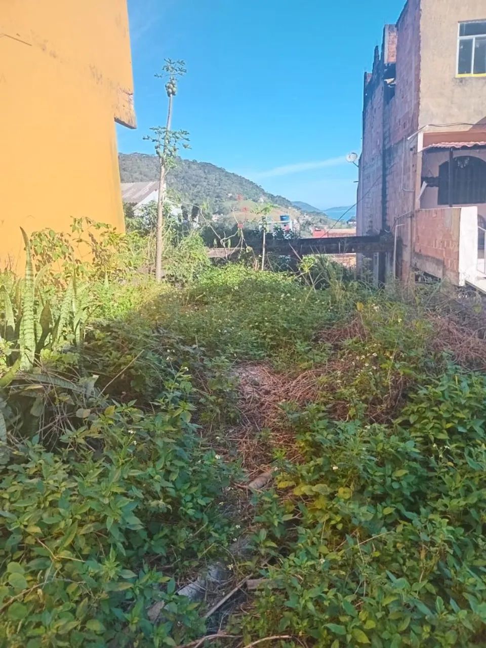 Vendo 3 terrenos em MURIQUI  - Foto 3