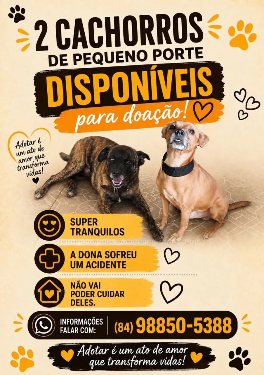 Doação de 2 cachoros 