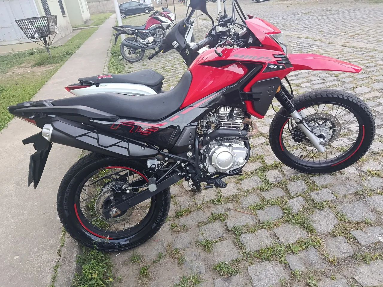 Shi175