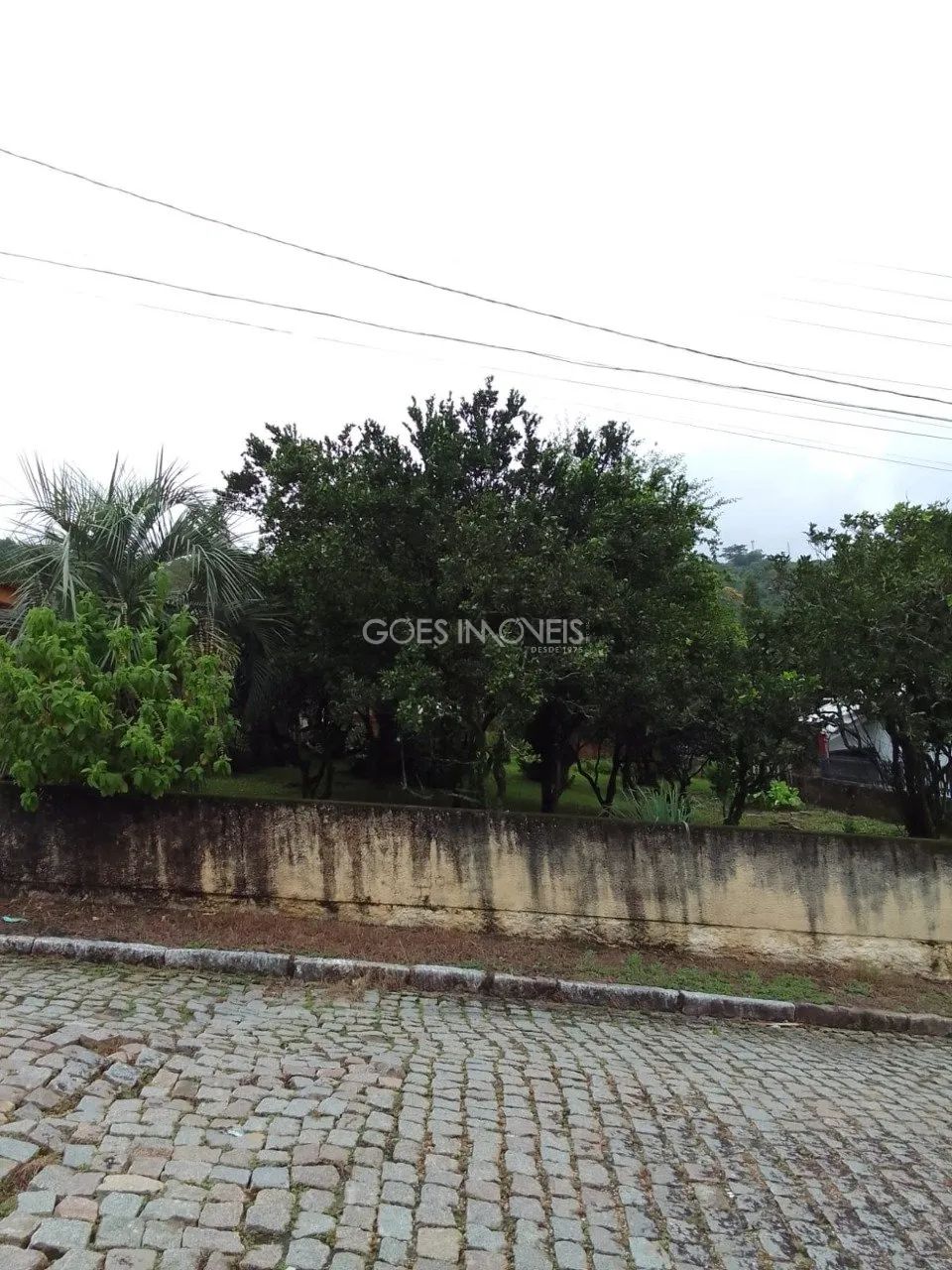 Casa em Siderópolis - Foto 2