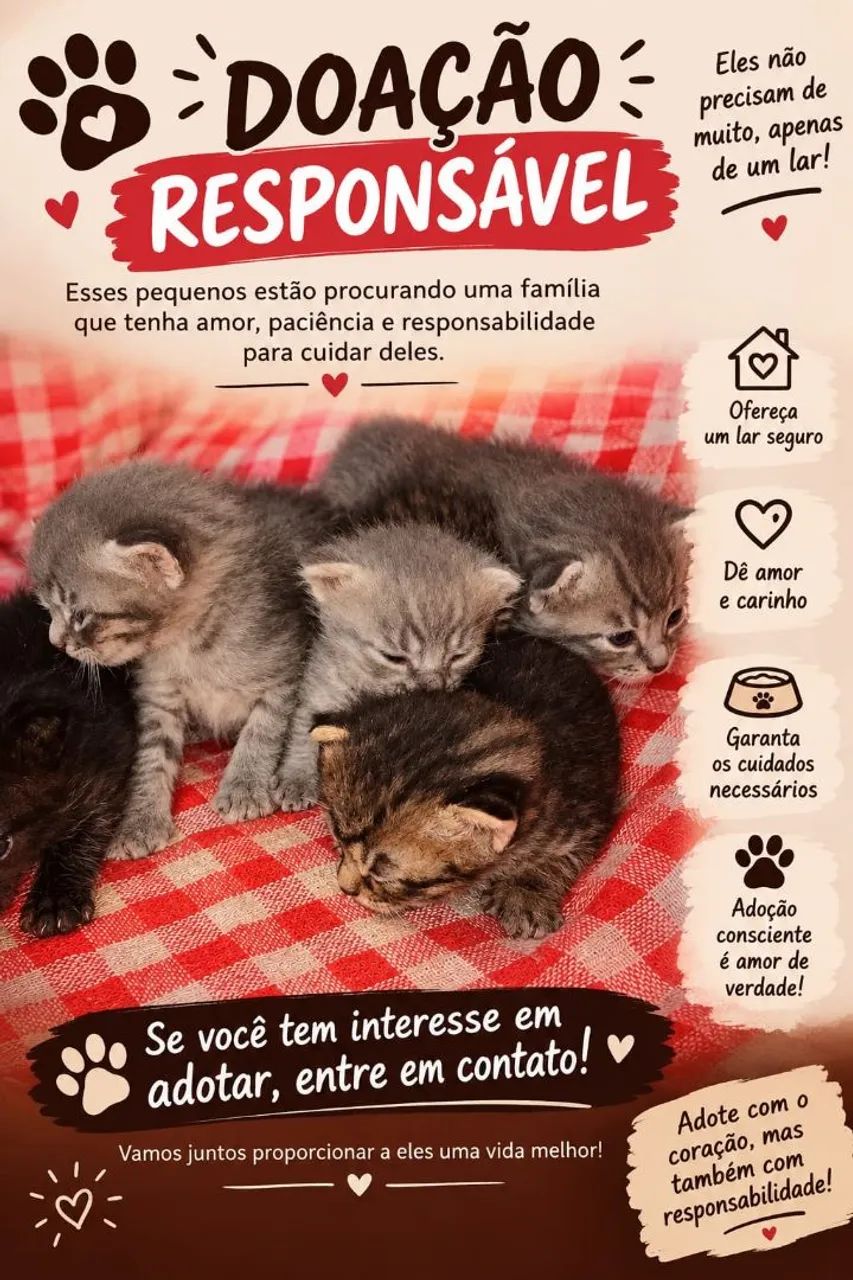 Doação de Gatinhos