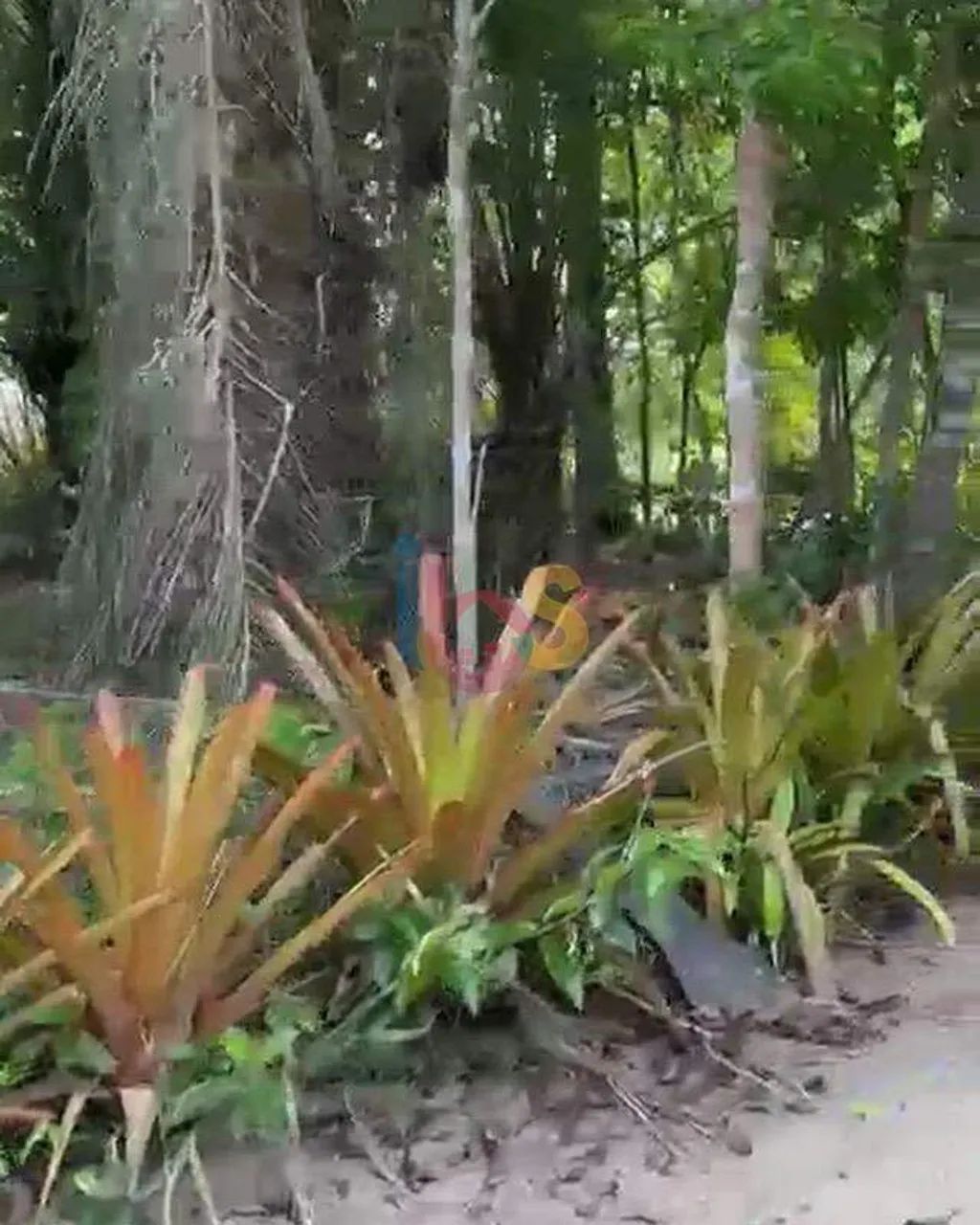 TERRENO À VENDA | JAMBREIRO - Foto 3