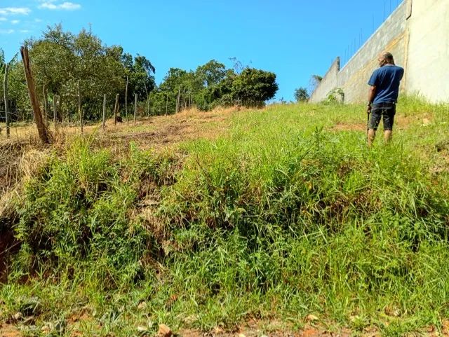 Foto - Cotia - Caputera