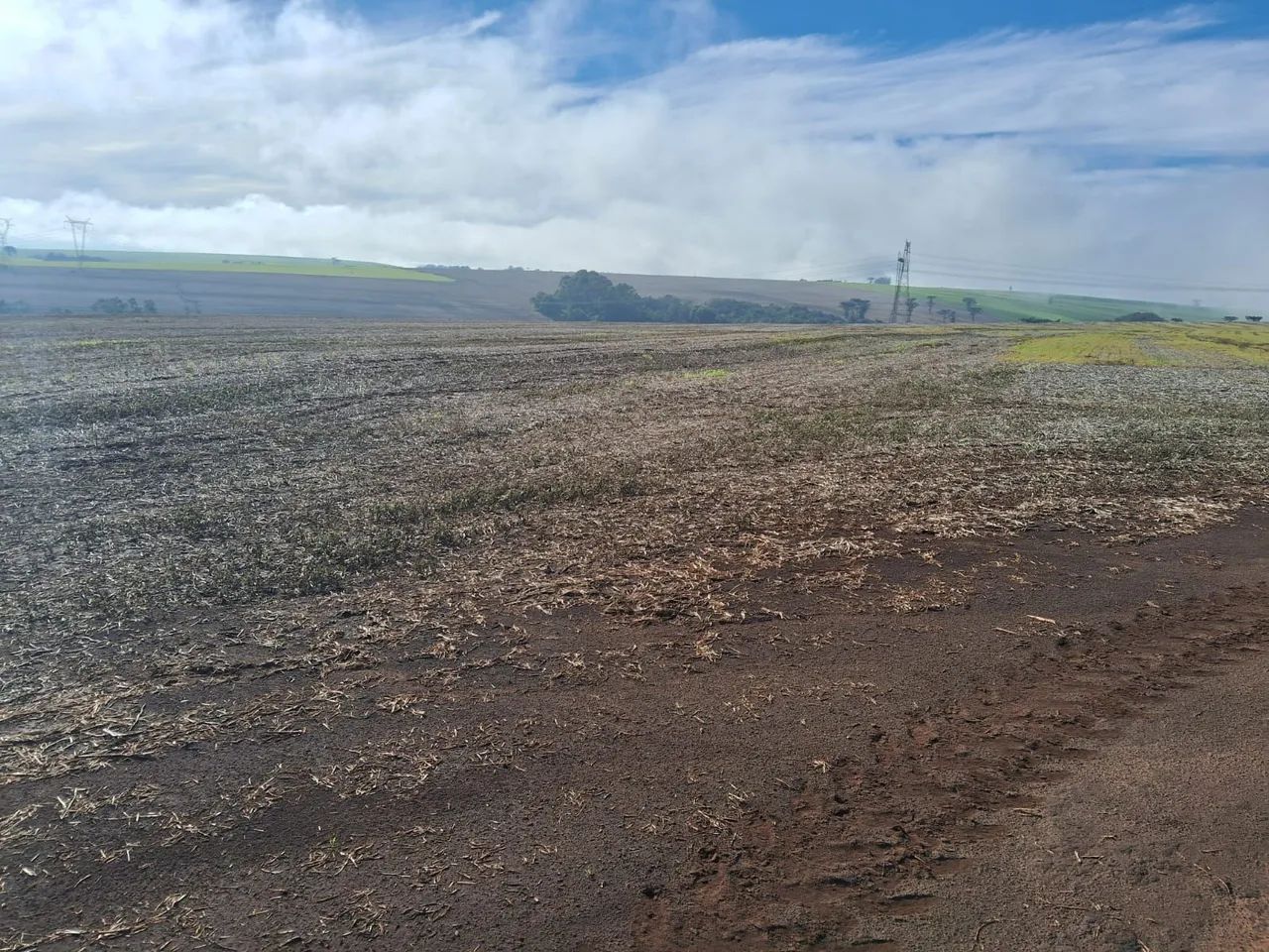 Fazenda  - Foto 5