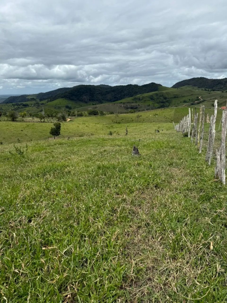 Fazenda para Venda em Atalaia, Zona Rural - Foto 5