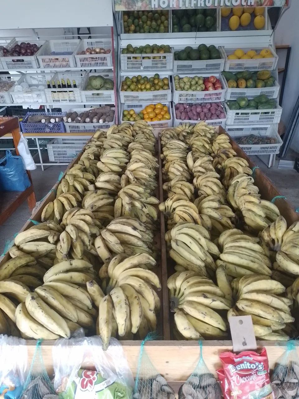 Vendo bananas para revenda - Foto 2