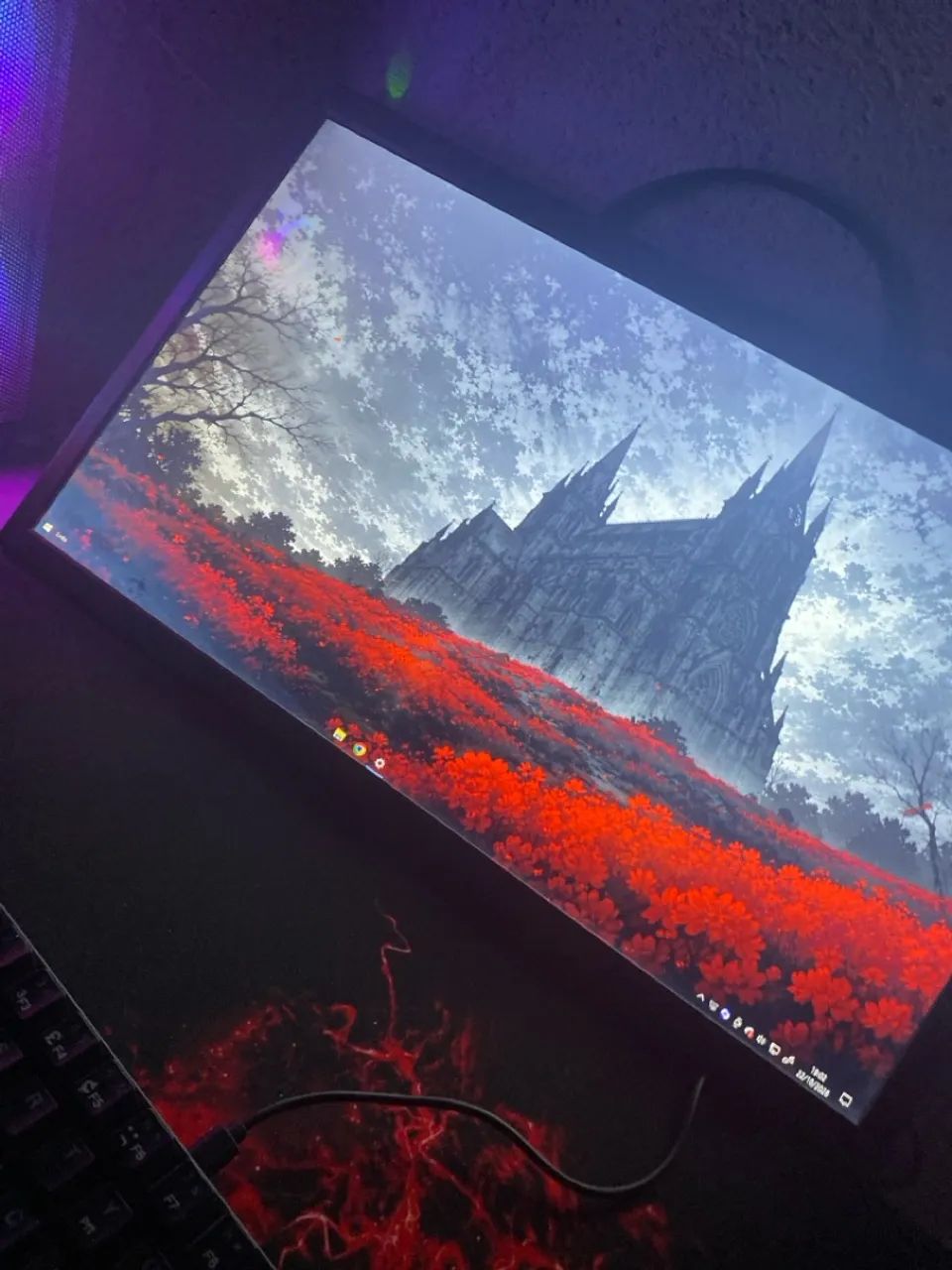 Monitor 