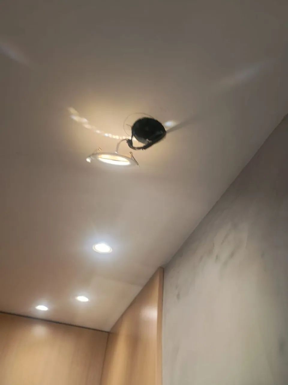 Serviços de eletrica em geral - Foto 4