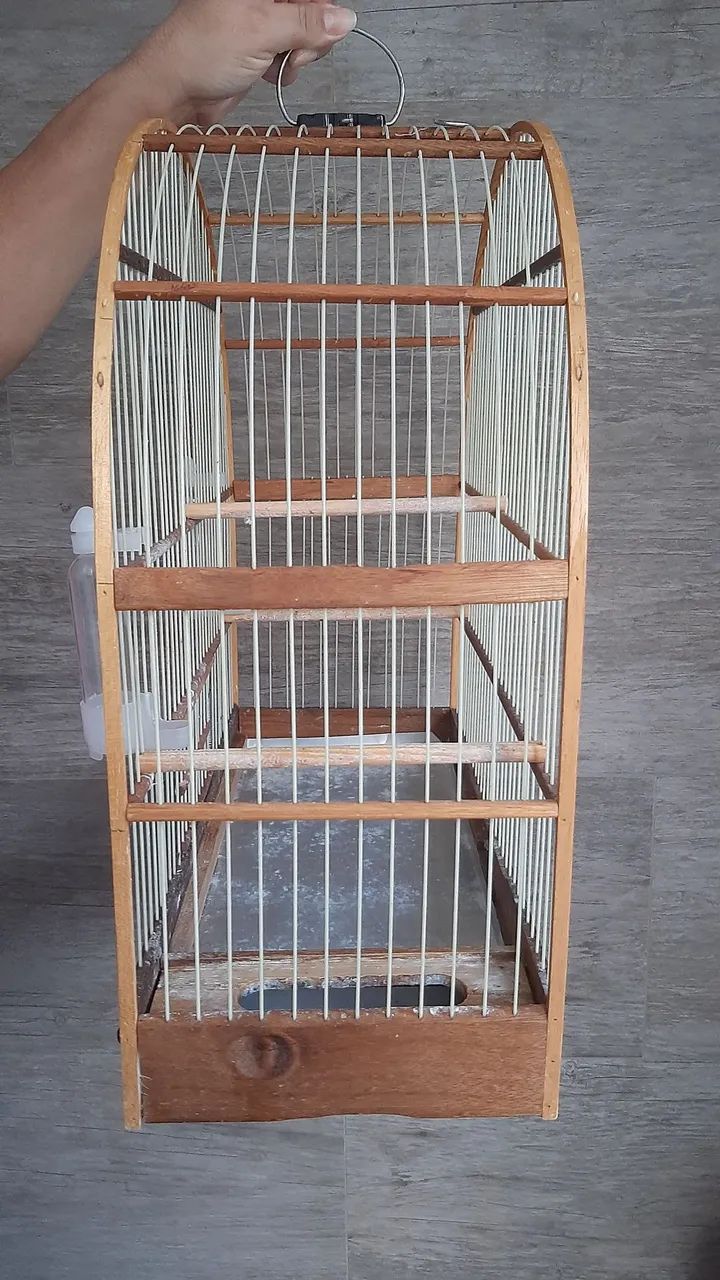 Gaiola Madeira  - Foto 3