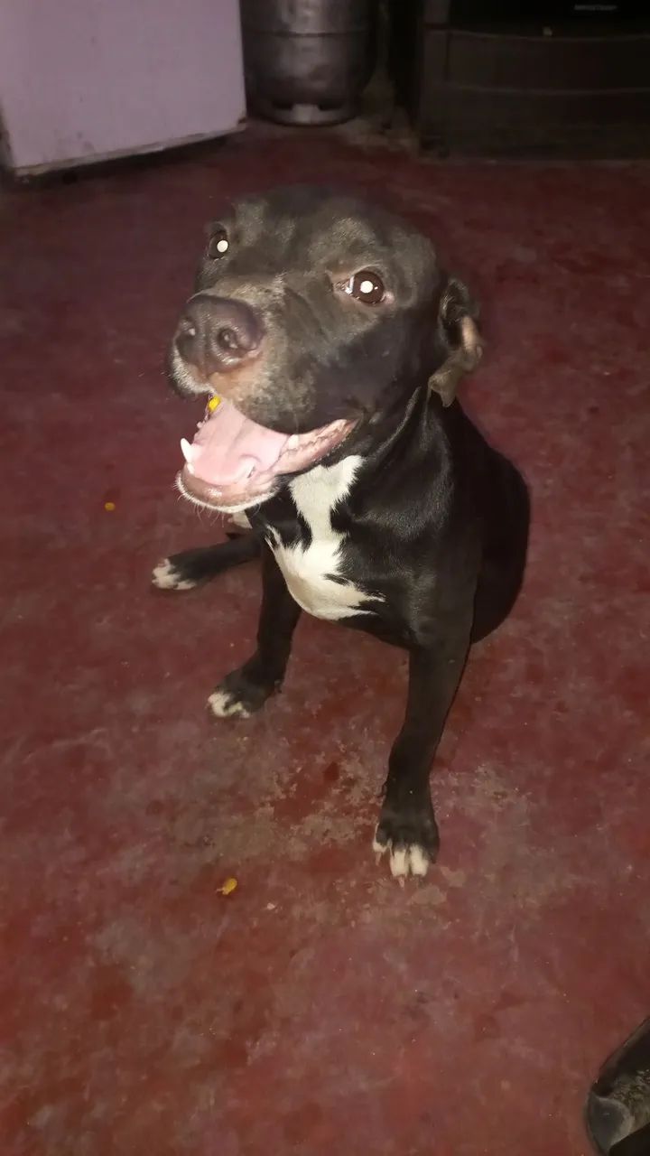 Doação  - Foto 2