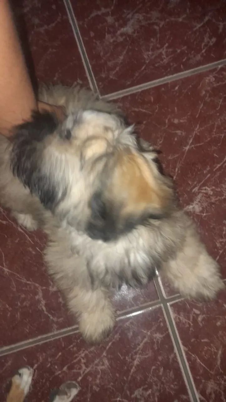 Doa-se URGENTE - Foto 5