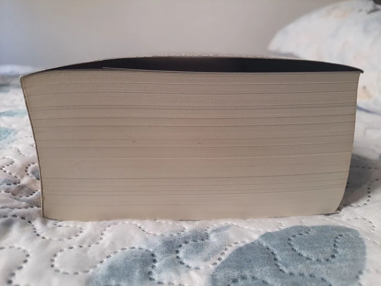 Livro Sacramentadora Brandon Sanderson - Foto 4