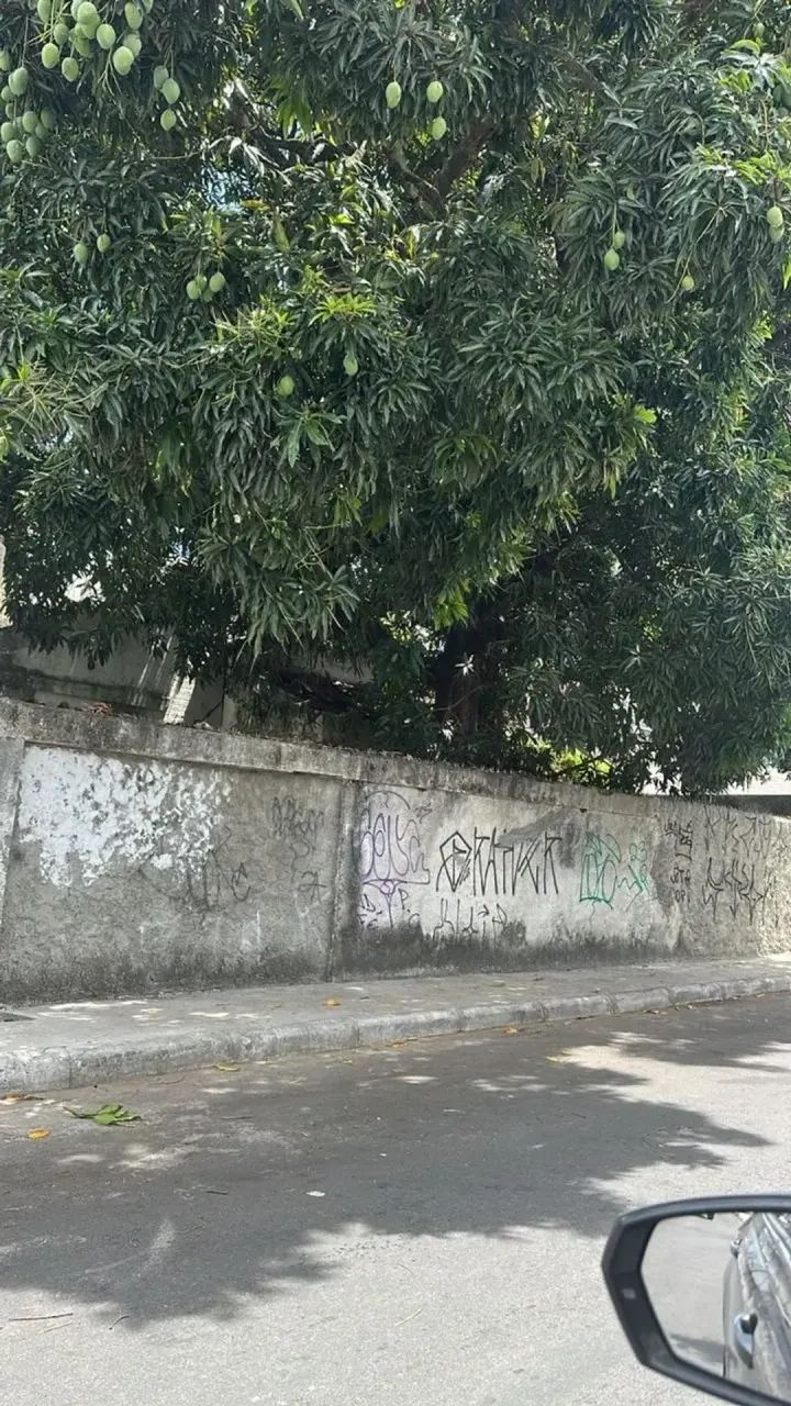Imóvel para venda possui 385 metros quadrados em Madalena - Recife - PE - Foto 4
