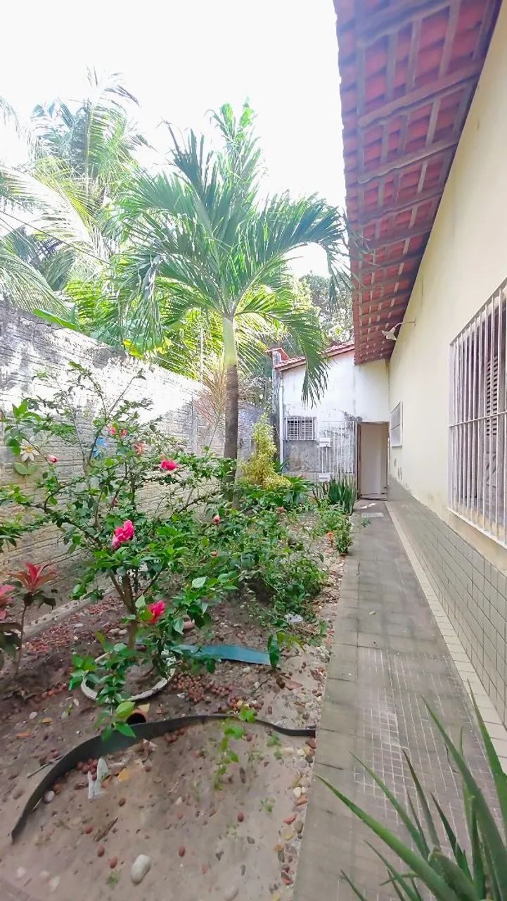 Chácara de 2475m² com acesso asfaltado no Araçagy  - Foto 2