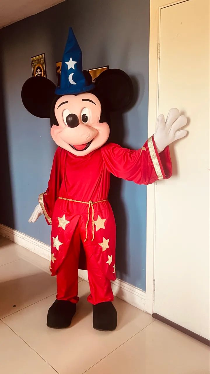 Lote de Fantasias de Personagens Vivos mascotes 1