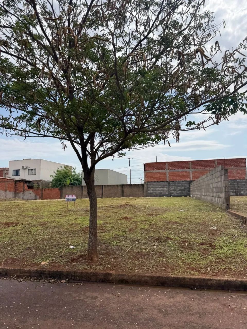Terreno 252 m² - Parque Residencial Amélia - Palotina/PR - Foto 5