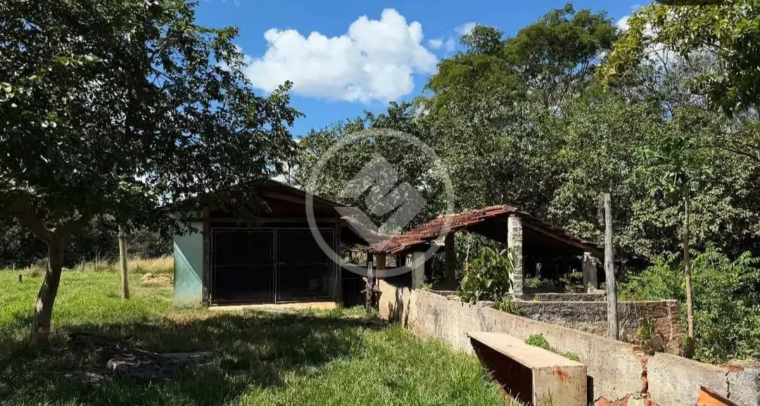 Jaraguá - Fazenda de 11 Alqueires codigo: 274149 - Foto 4