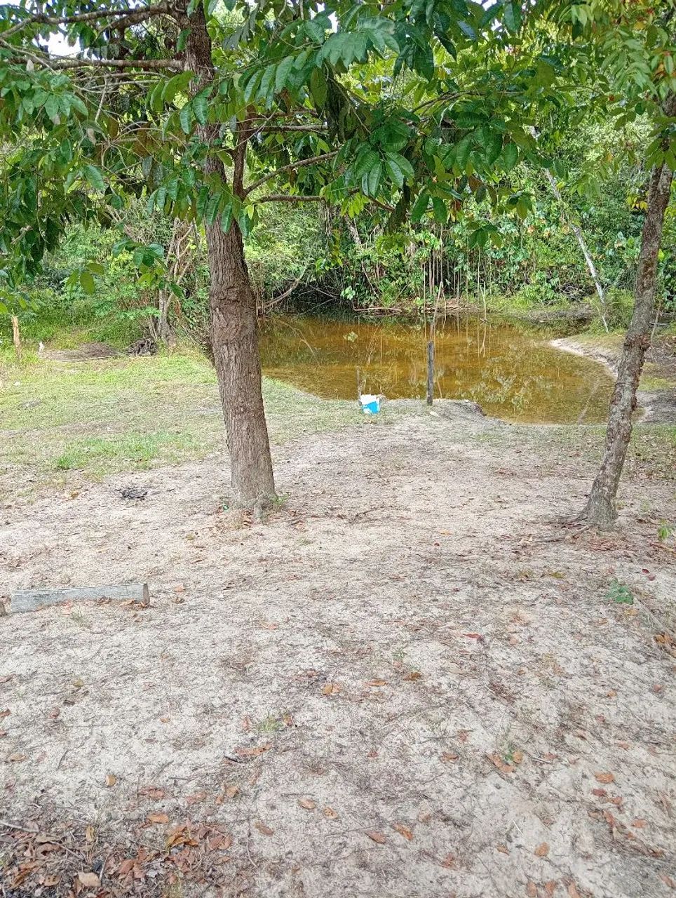 Vendo chácara c/ banho e casa ,40 km de Boa vista 
