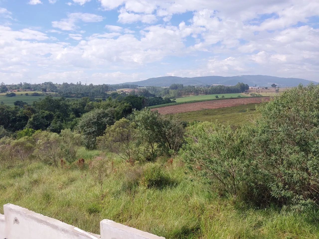 Terreno para chácara area 1000 m2 - Foto 3