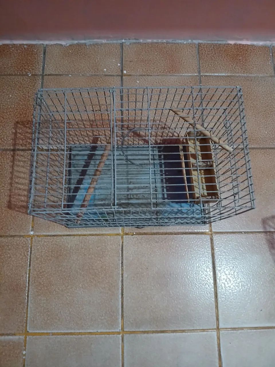 Gaiola Pequena para pássaros  - Foto 3