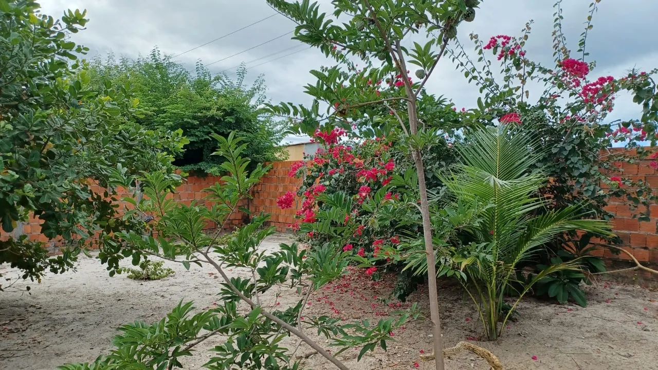 Vendo terreno 35.000,00 pecem - negociável  - Foto 5