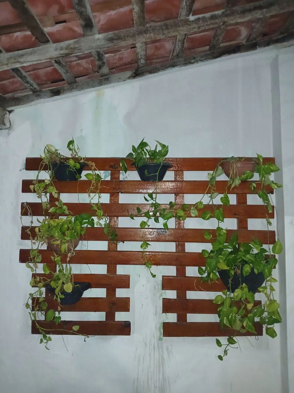Todas as plantas e grade