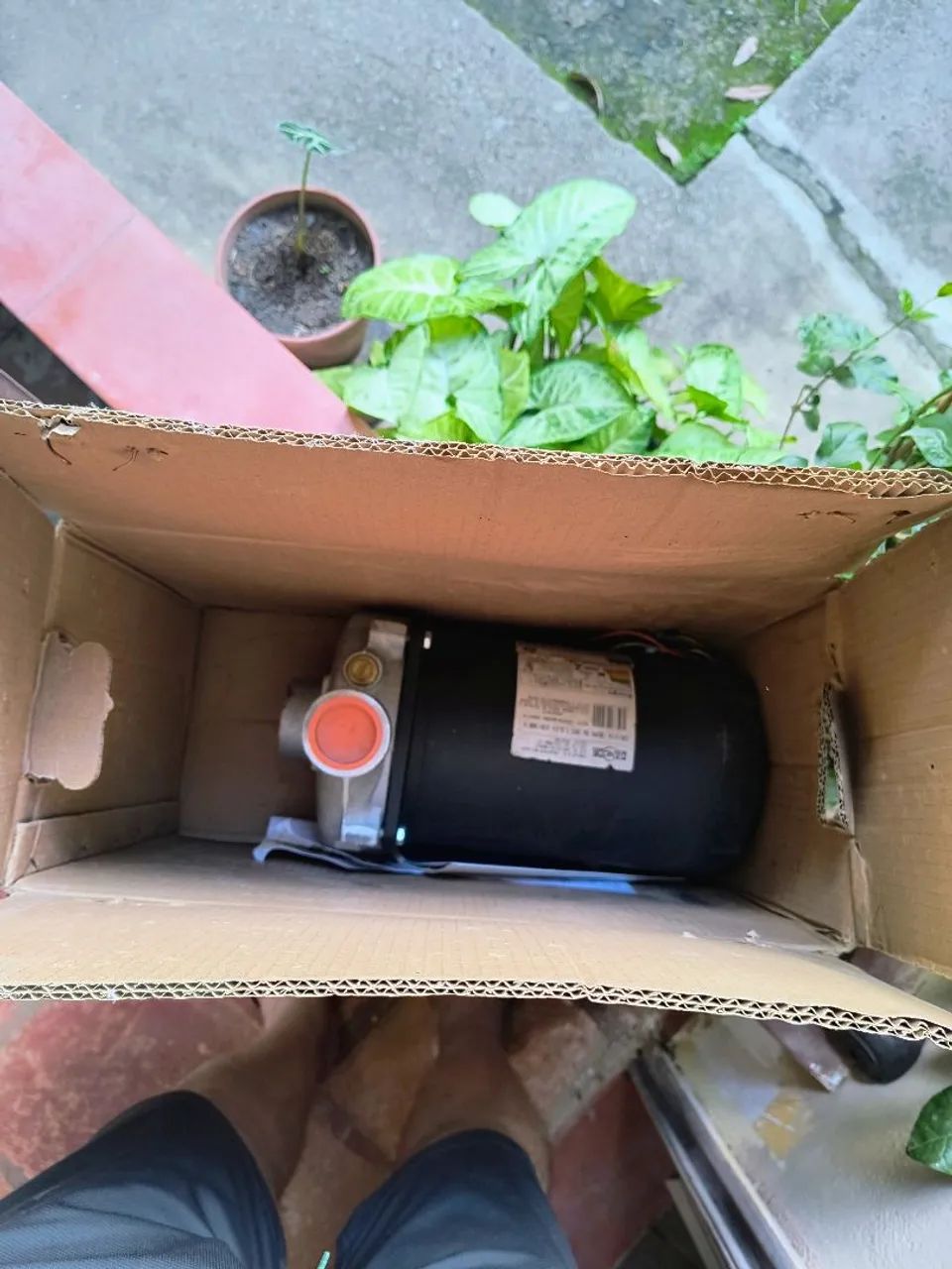 Bomba centrífuga Dancor 1,5 cv nova - Foto 3