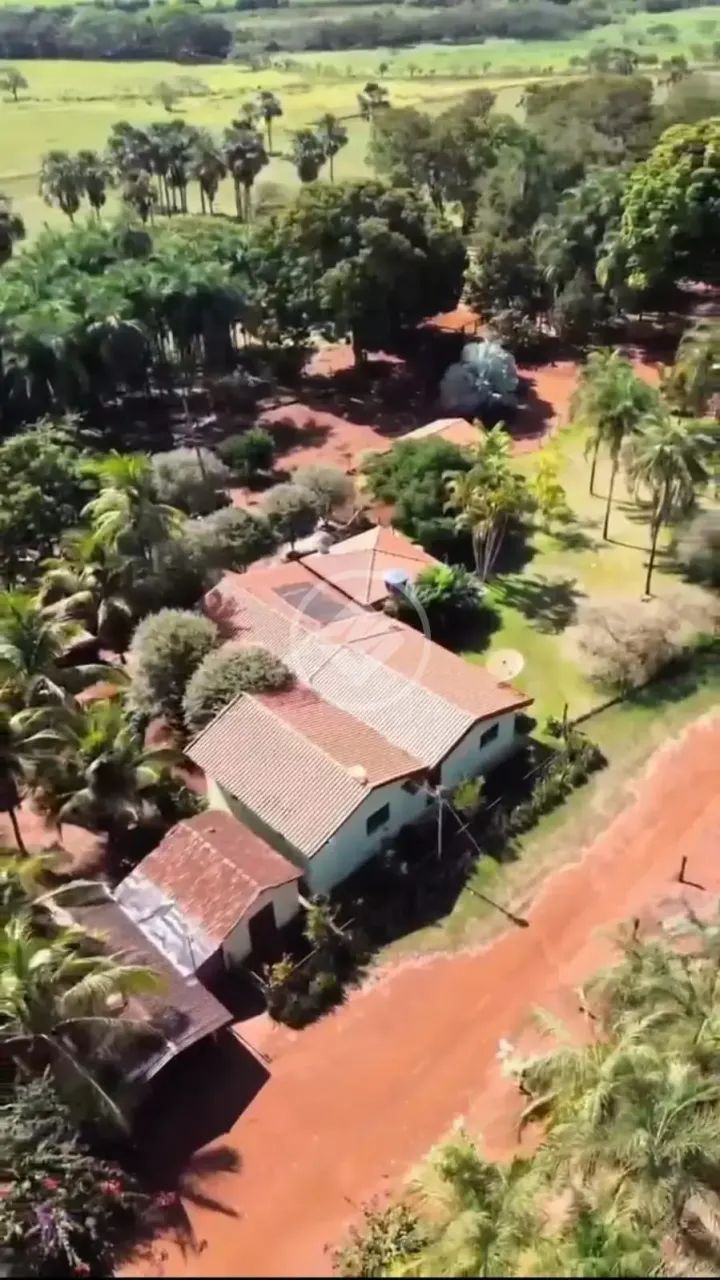 FAZENDA- ITUMBIARA - GO codigo: 382428 - Foto 3