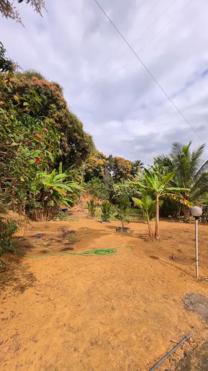 CHÁCARA À VENDA EM DUAS BARRAS  ANCHIETA/ES - Foto 2