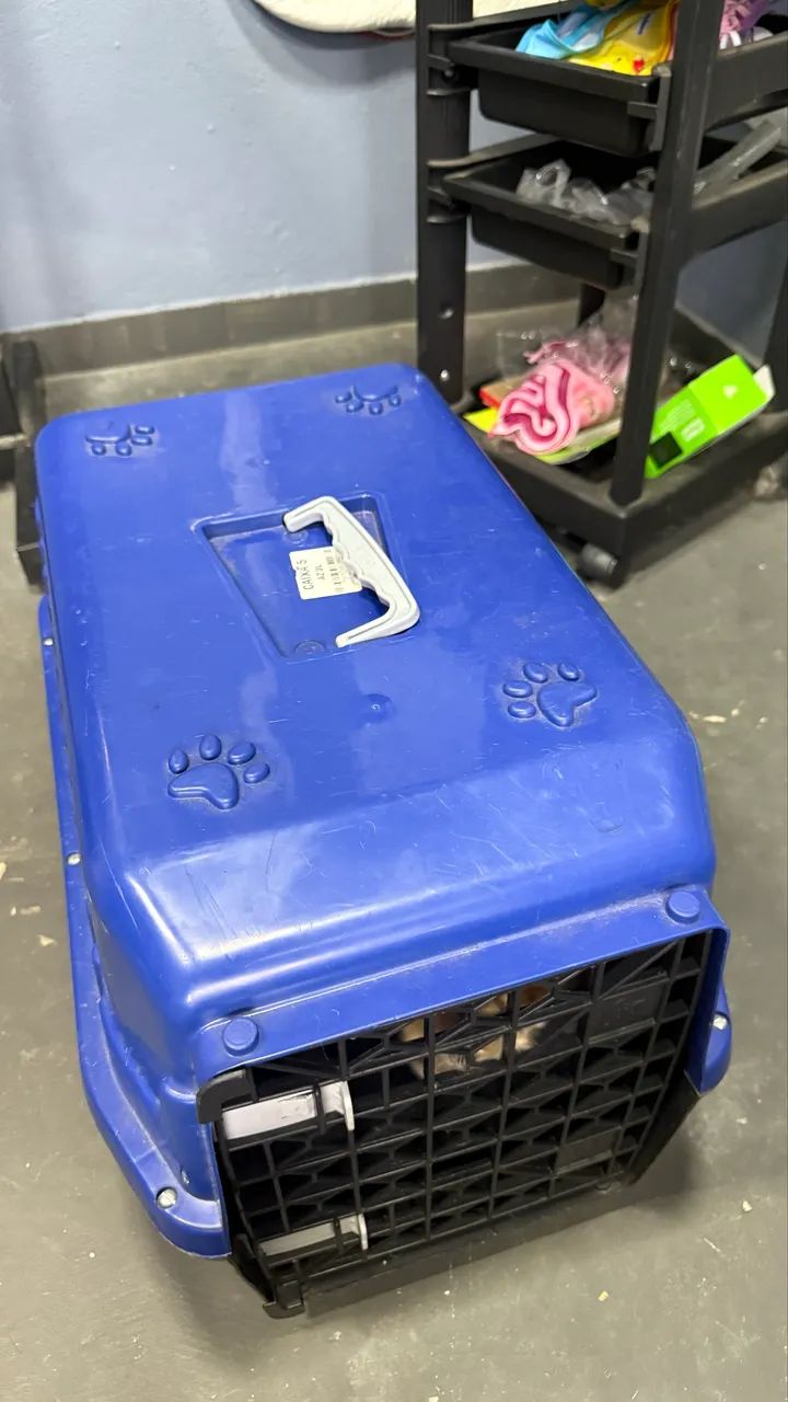 Kit 3 Caixas de Transporte Pet N° 5 MeCPet Cães e Gatos Azul