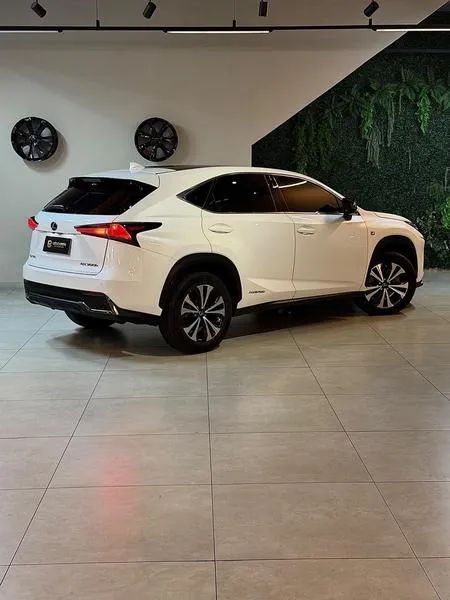 Lexus NX-300 H F-sport 2.5 16V Aut., foto 9 de 19