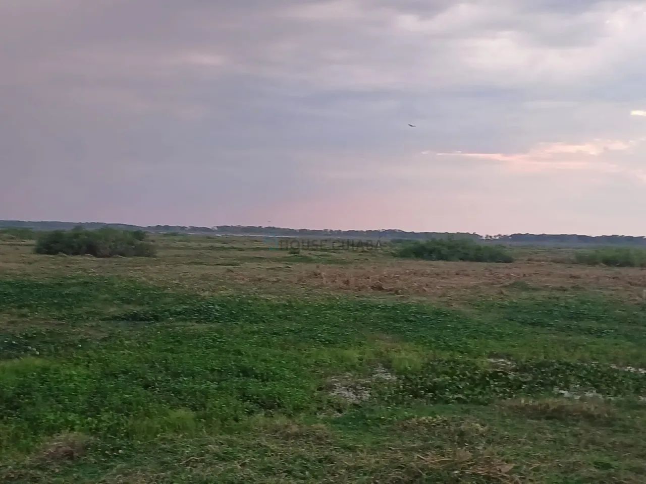 FAZENDA À VENDA  PANTANAL DE POCONÉ / MT - Foto 3