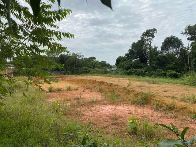 Terreno no Tarumã com 92 mil m2