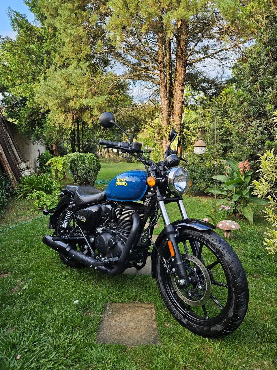 Meteor 350 2023/24  - Foto 2