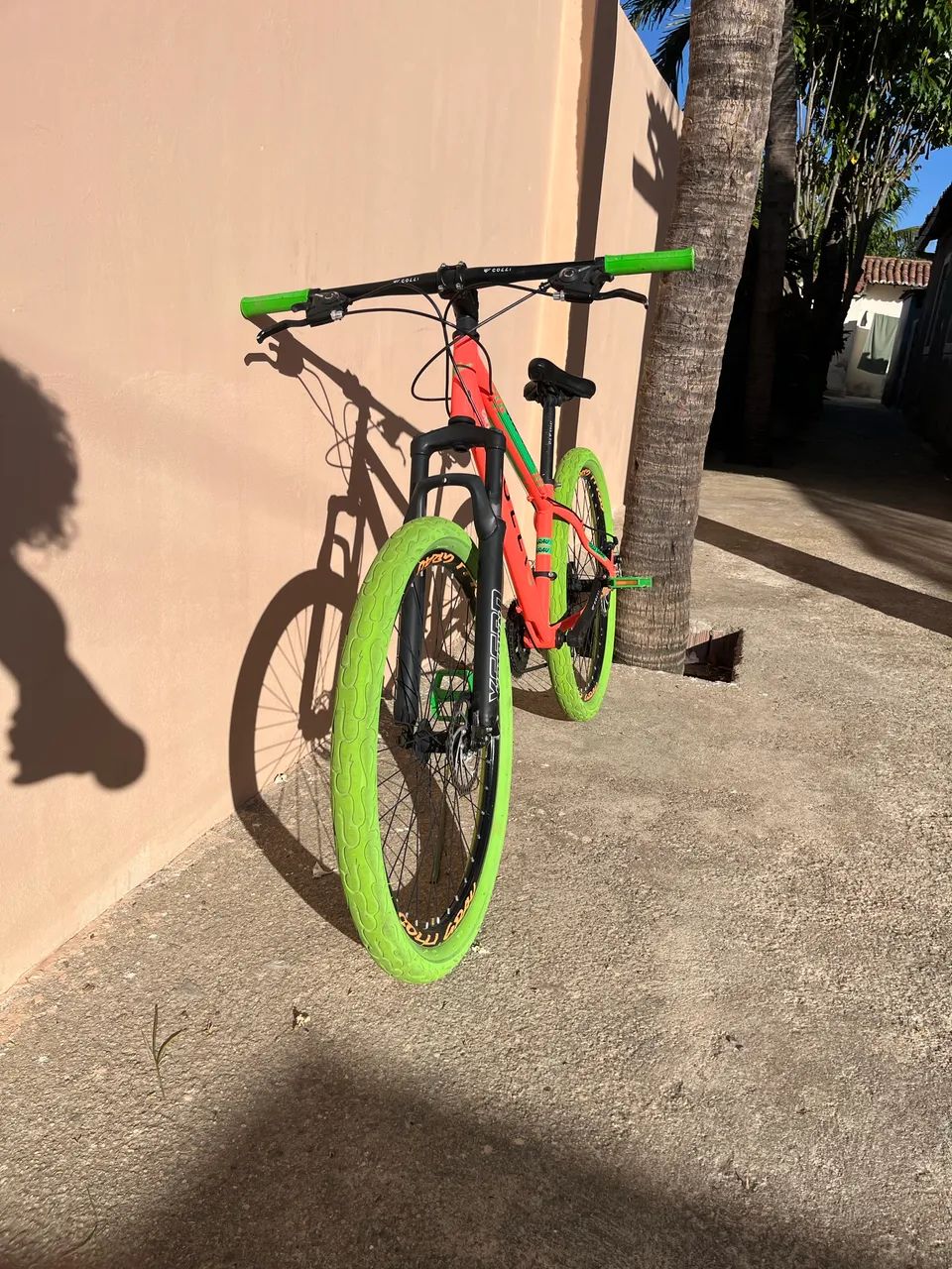 Bicicleta 