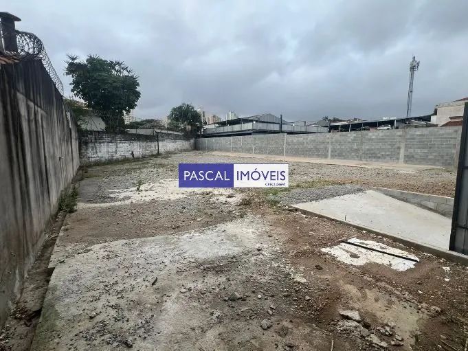 Terreno Campo Belo - Foto 5