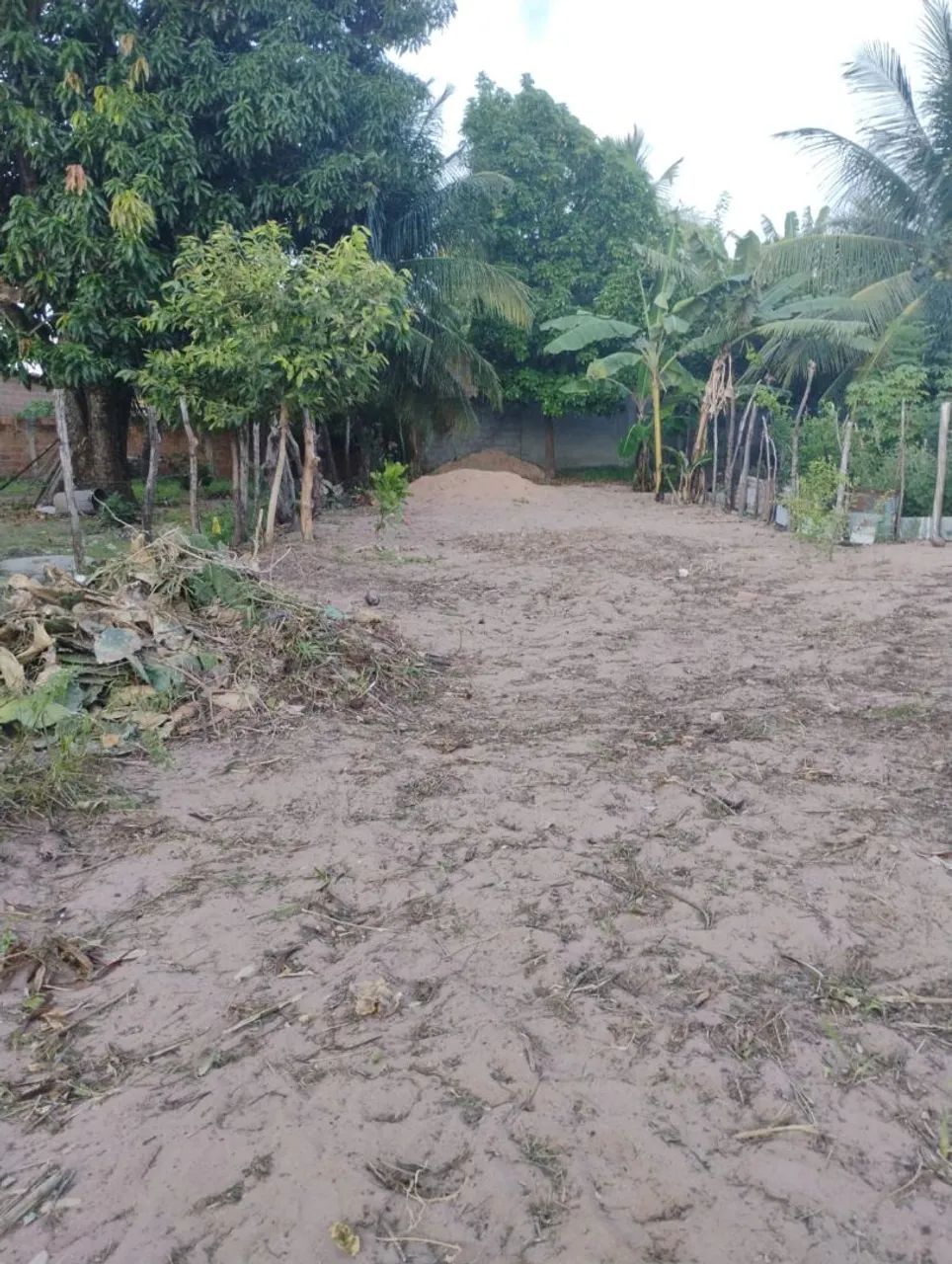 Terreno 
