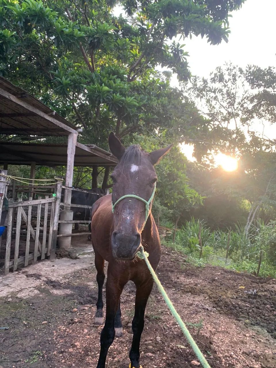 Vende-se ou troca  - Foto 3