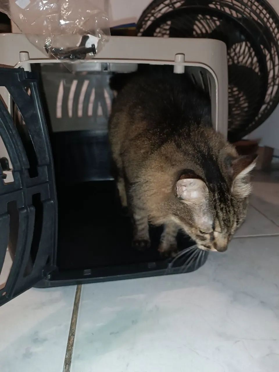 Caixa de transporte cão/gato - Foto 2