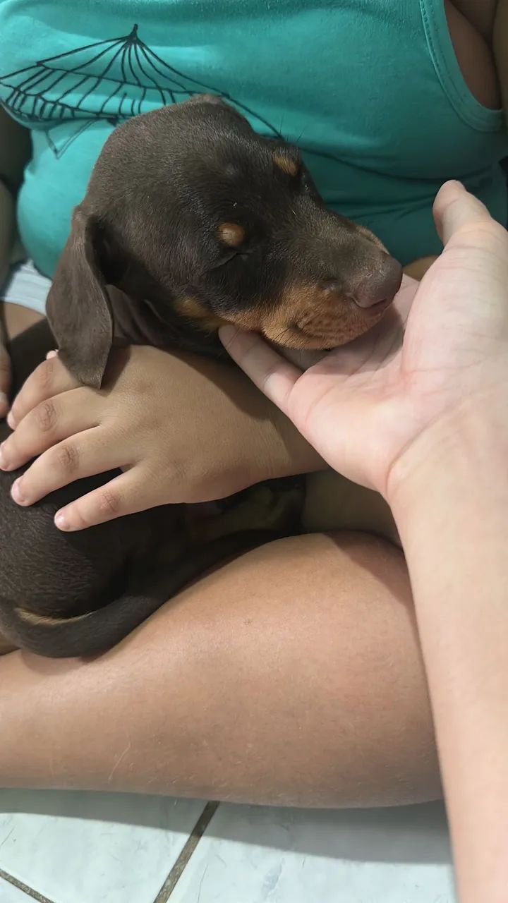 Vendo  - Foto 4