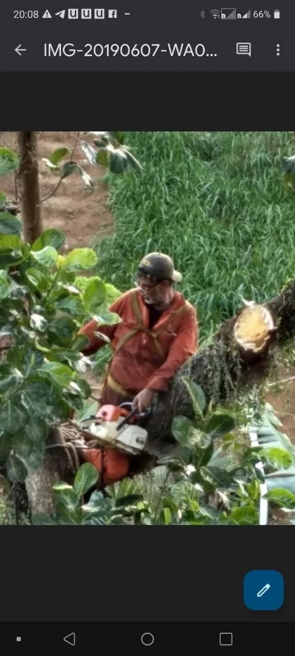 Serviço de roçagen e corte de grama e podas - Foto 4