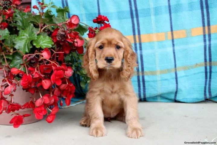 Sweet gaze that embraces the soul?
