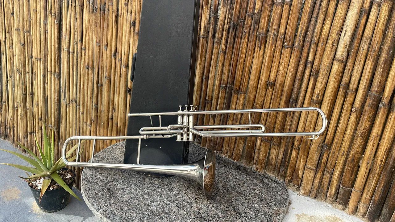 Trombone de Pisto  - Foto 2
