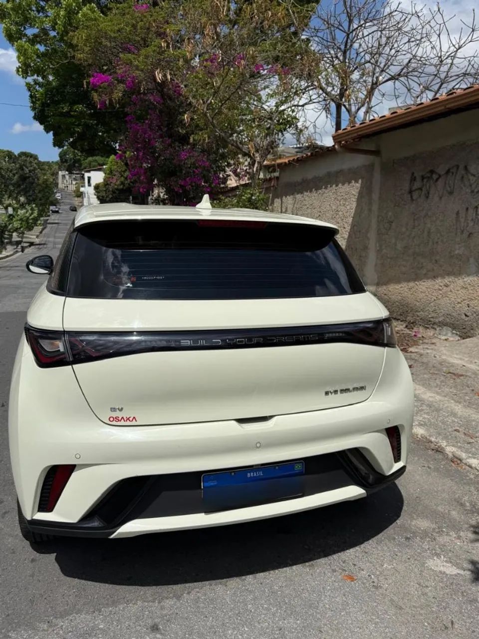 BYD Dolphin EV (Elétrico) 2024 - Foto 2