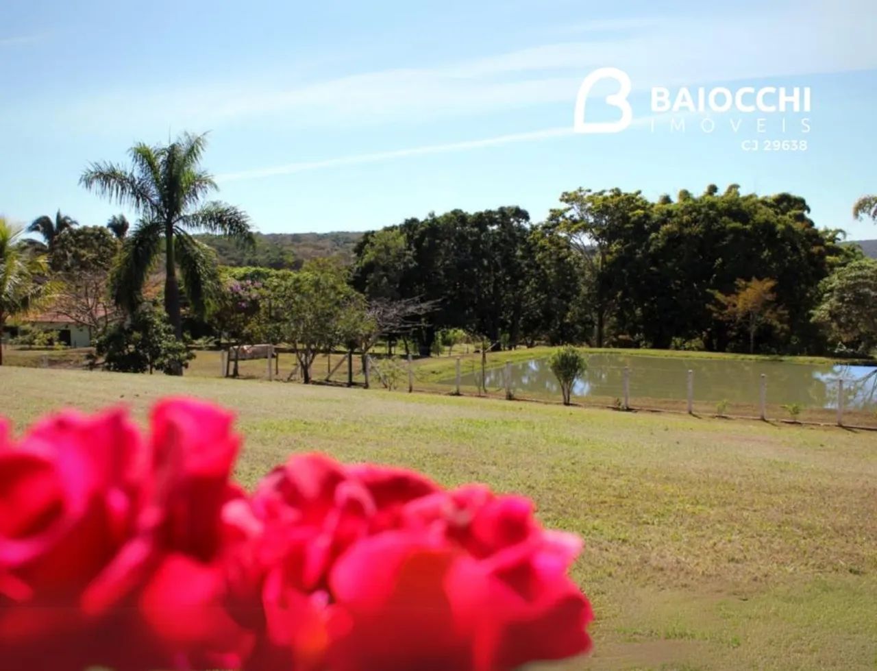 Fazenda - Catalão - Foto 2