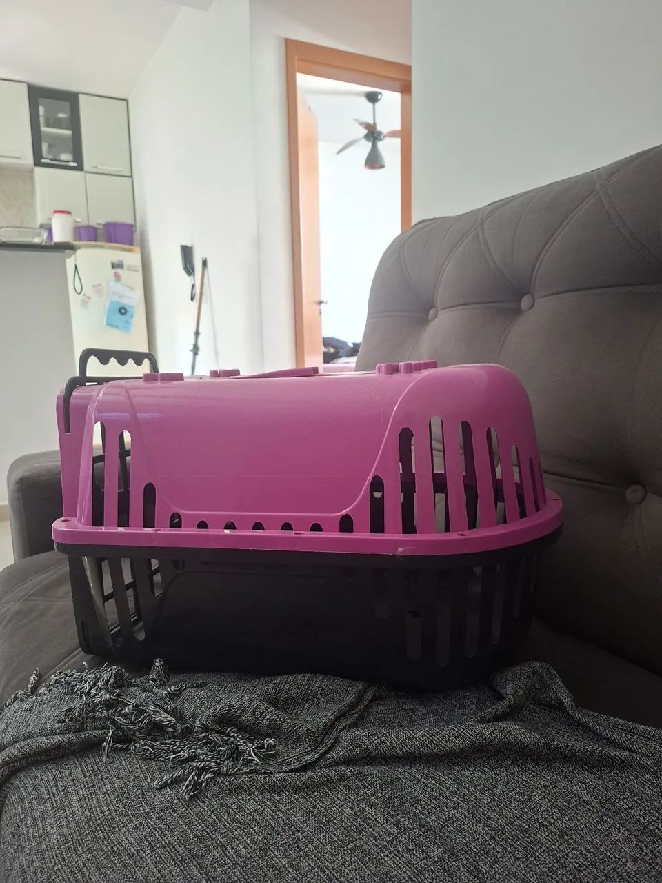 Casinha de Cachorro - Foto 3