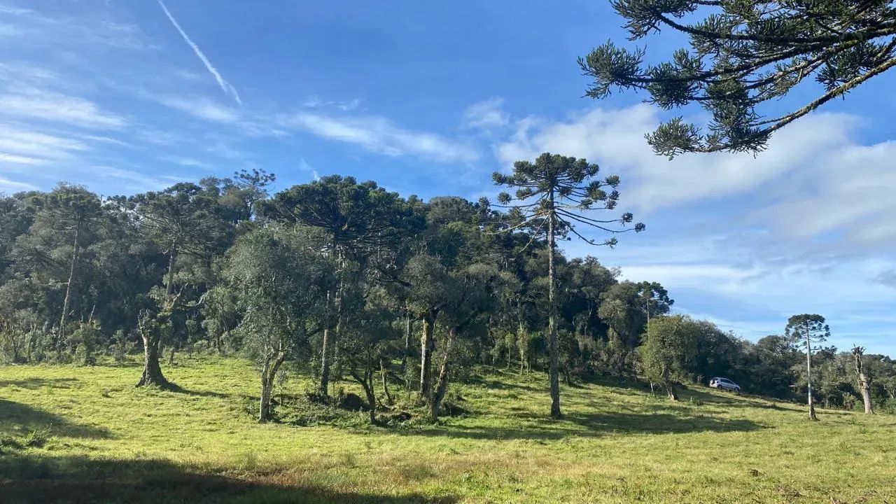 sitio a venda em Urupema - Foto 4