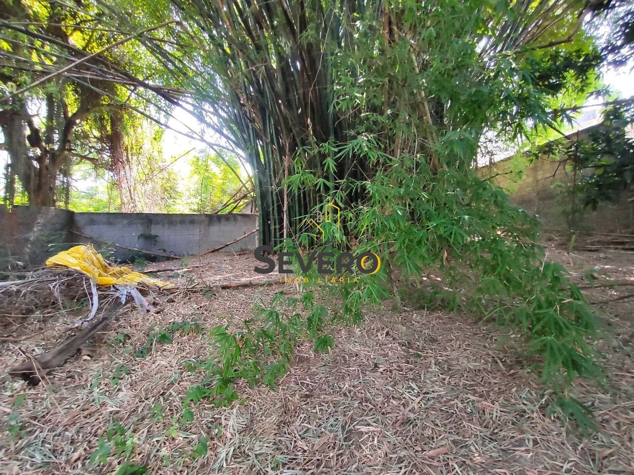 Área com 1890m², de frente para a rua principal, em Nova Cidade - Foto 3