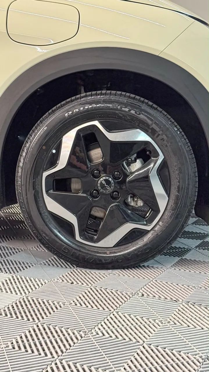 BYD Dolphin GS (Elétrico) 2027 - Foto 5